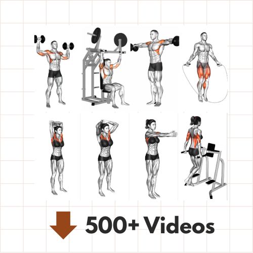 Workout Grid